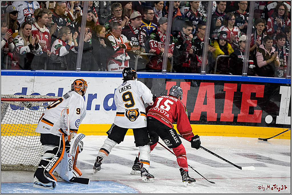 DEL, Koelner Haie - Grizzlys Wolfsburg, 17.03.2017